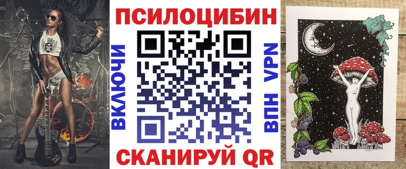 как найти закладки  Верхняя Пышма  Галлюциногенные грибы мицелий 