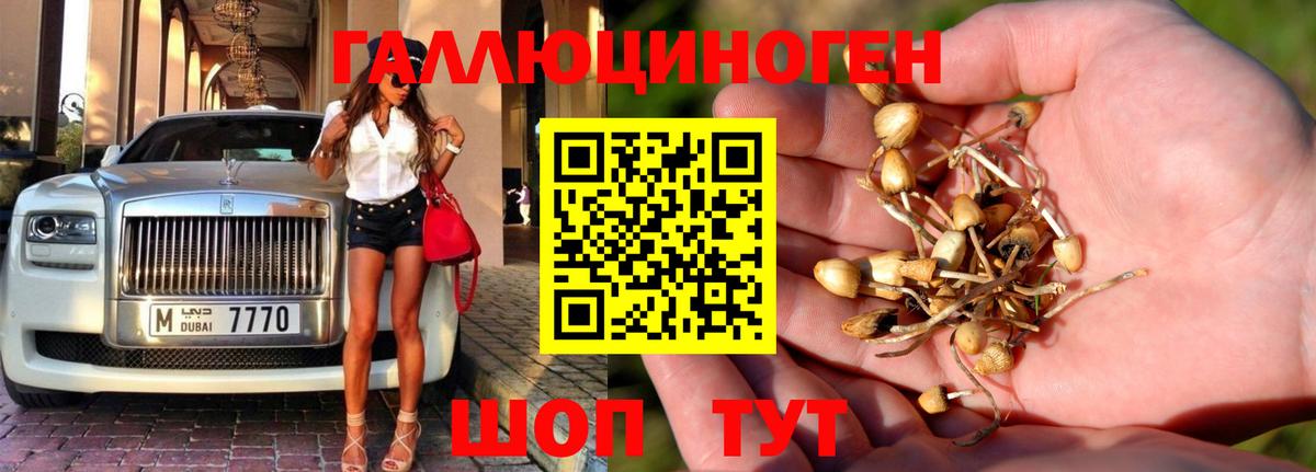 Галлюциногенные грибы прущие грибы  наркошоп  Верхняя Пышма  Вход с VPN 