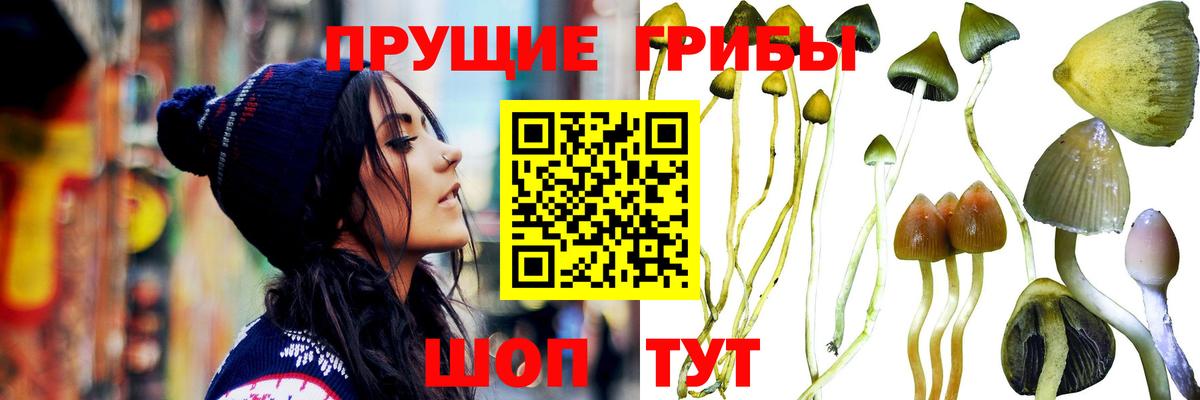 Псилоцибиновые грибы мухоморы Верхняя Пышма